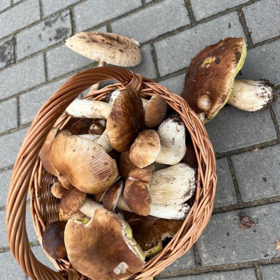 Domek Nad Jeziorem Myślibórz Exteriér fotografie